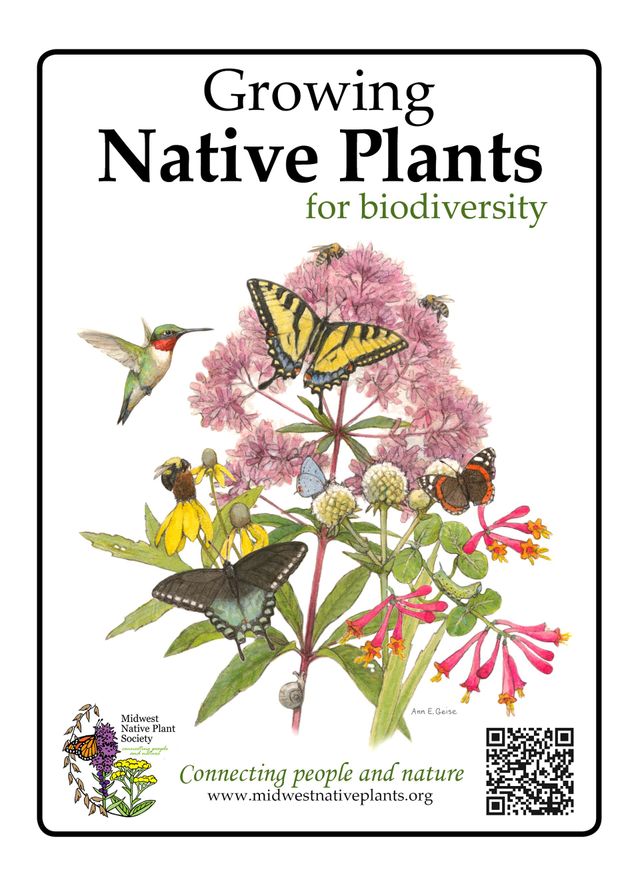biodiversity plants