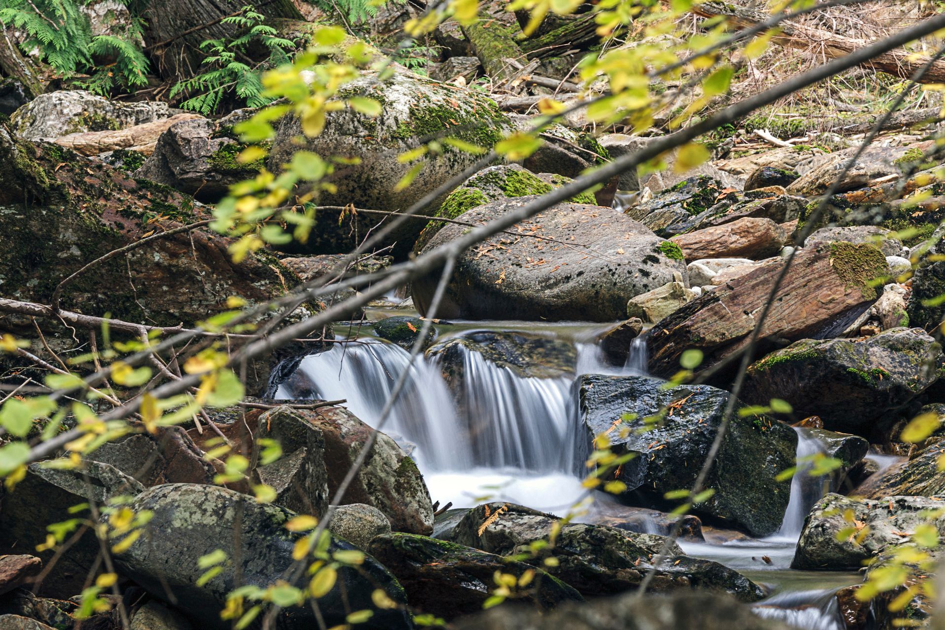 A small, smooth waterfall flows over mossy rocks in a forest, framed by blurred green and yellow branches.