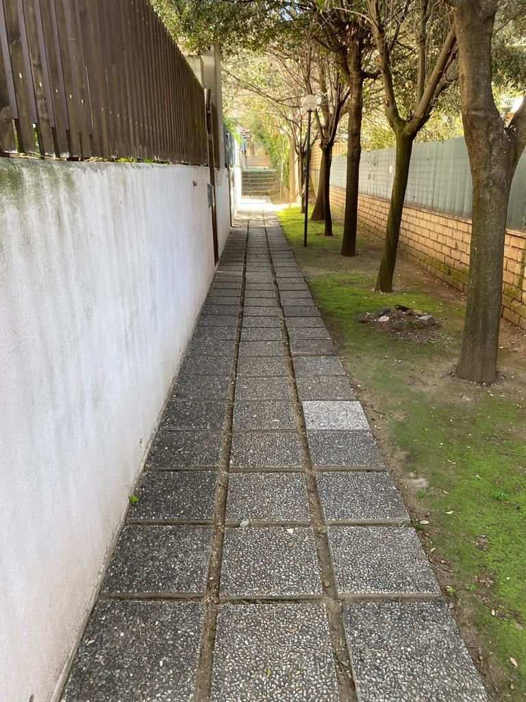 Un marciapiede che conduce a un edificio con una recinzione e alberi su entrambi i lati.