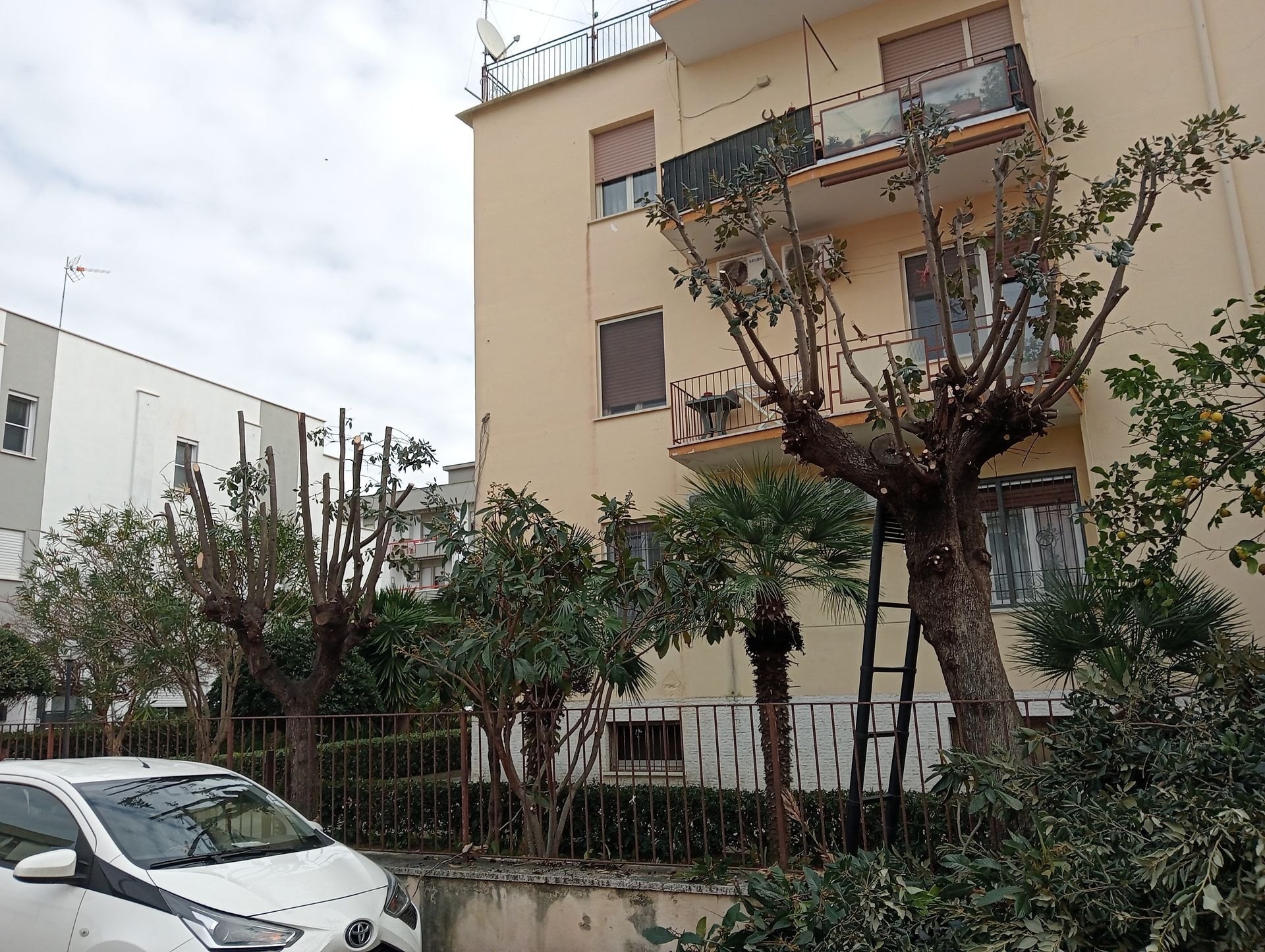 Un'auto bianca è parcheggiata davanti a un edificio