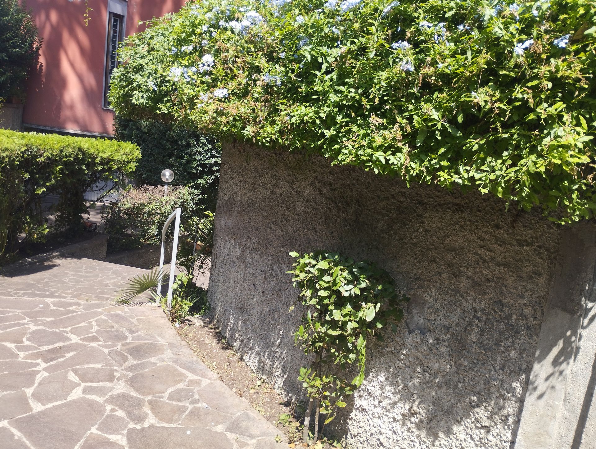 Un muro di pietra con alcune piante che crescono su di esso