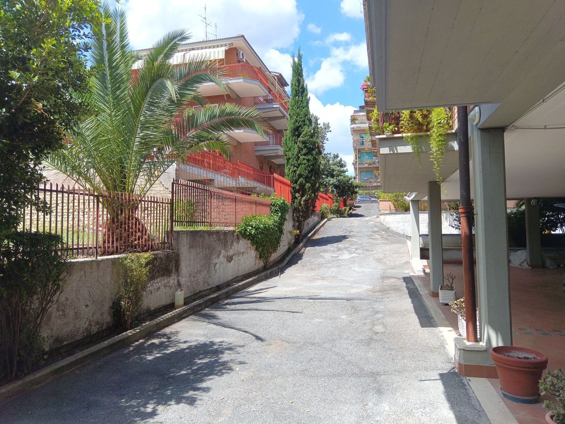 Una strada stretta tra due edifici con palme sul lato