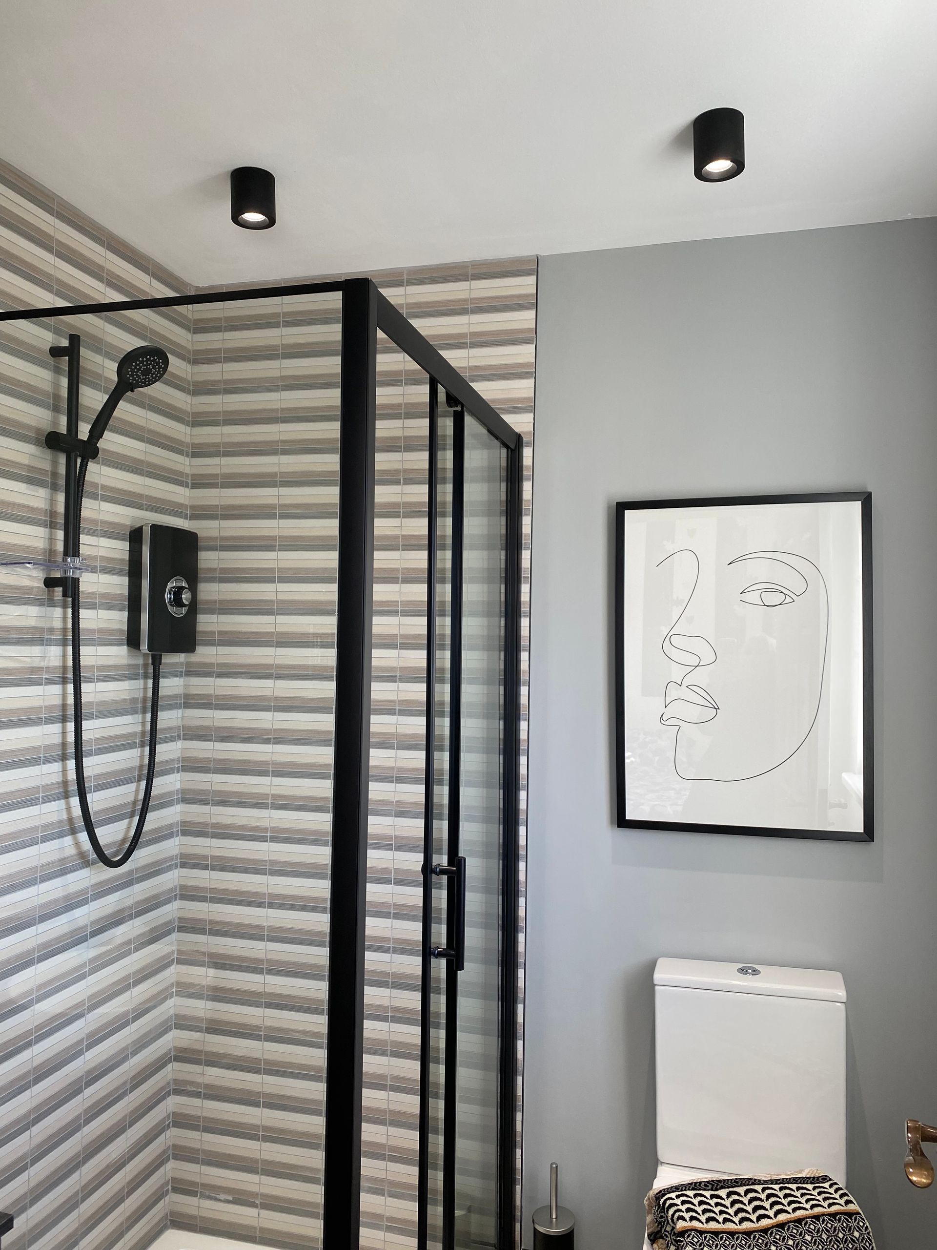 A bathroom with a toilet , shower , and picture on the wall.