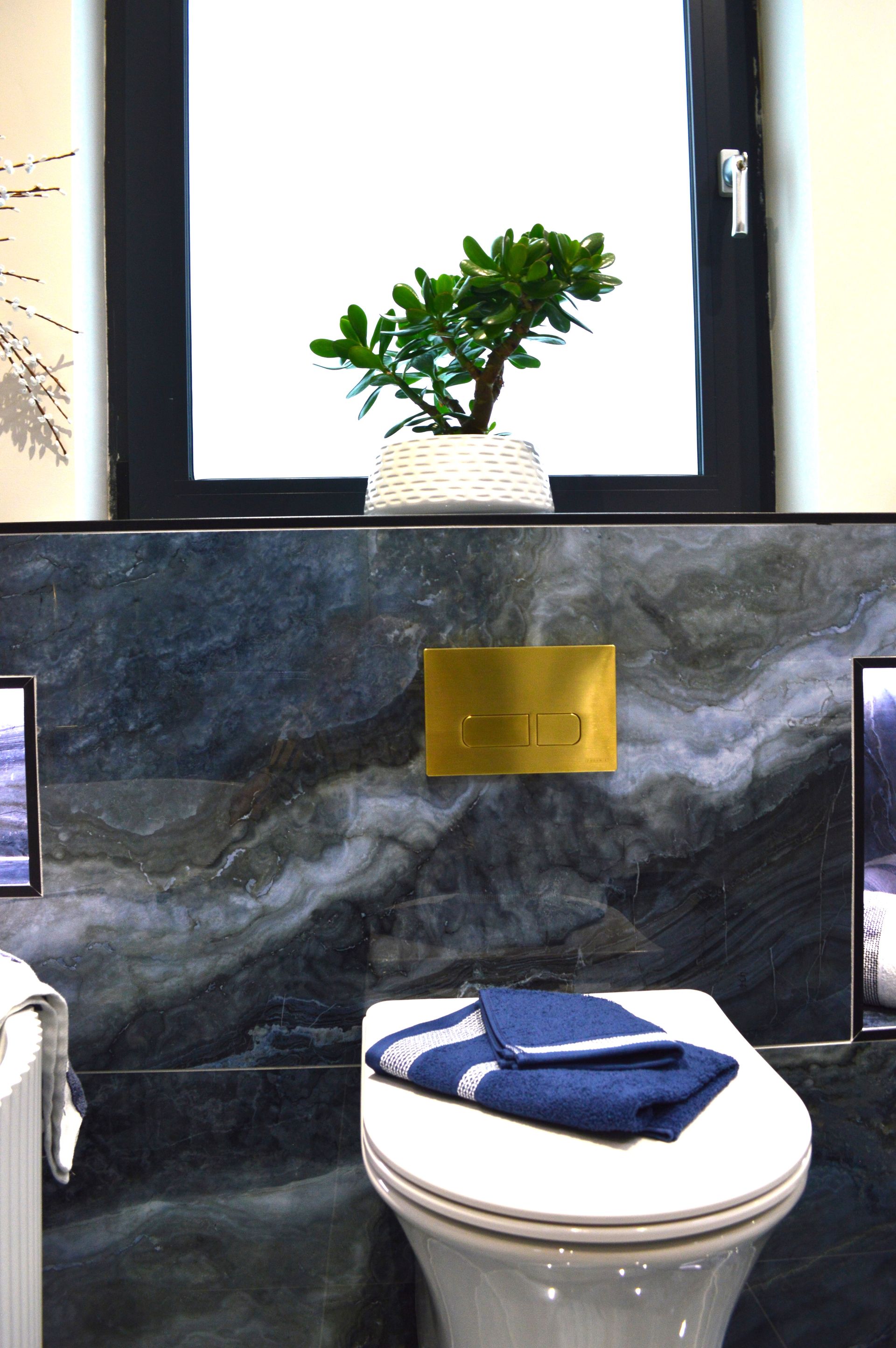 A bathroom with a toilet and a plant in the window