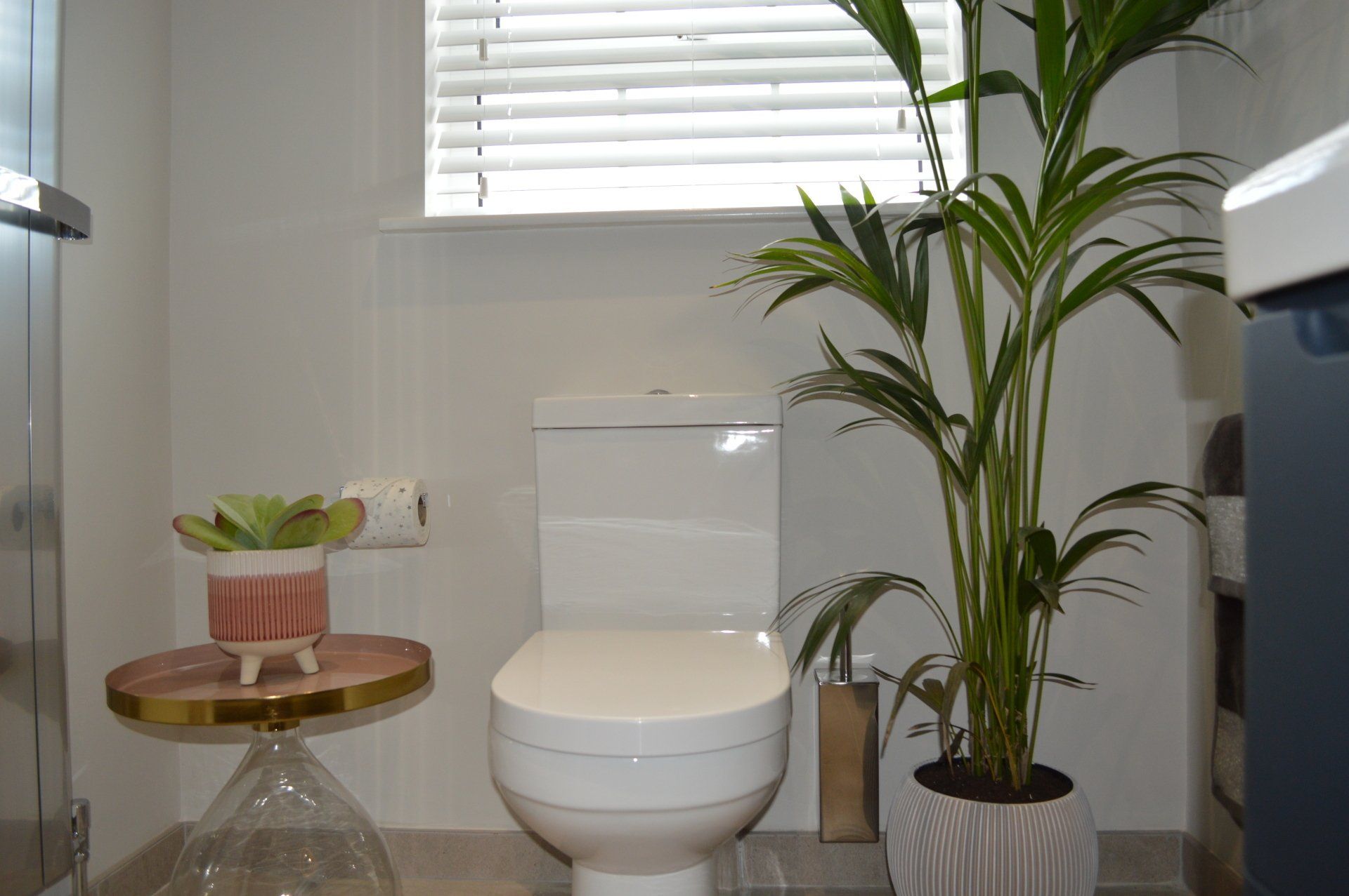 A bathroom with a toilet , sink , and plant.