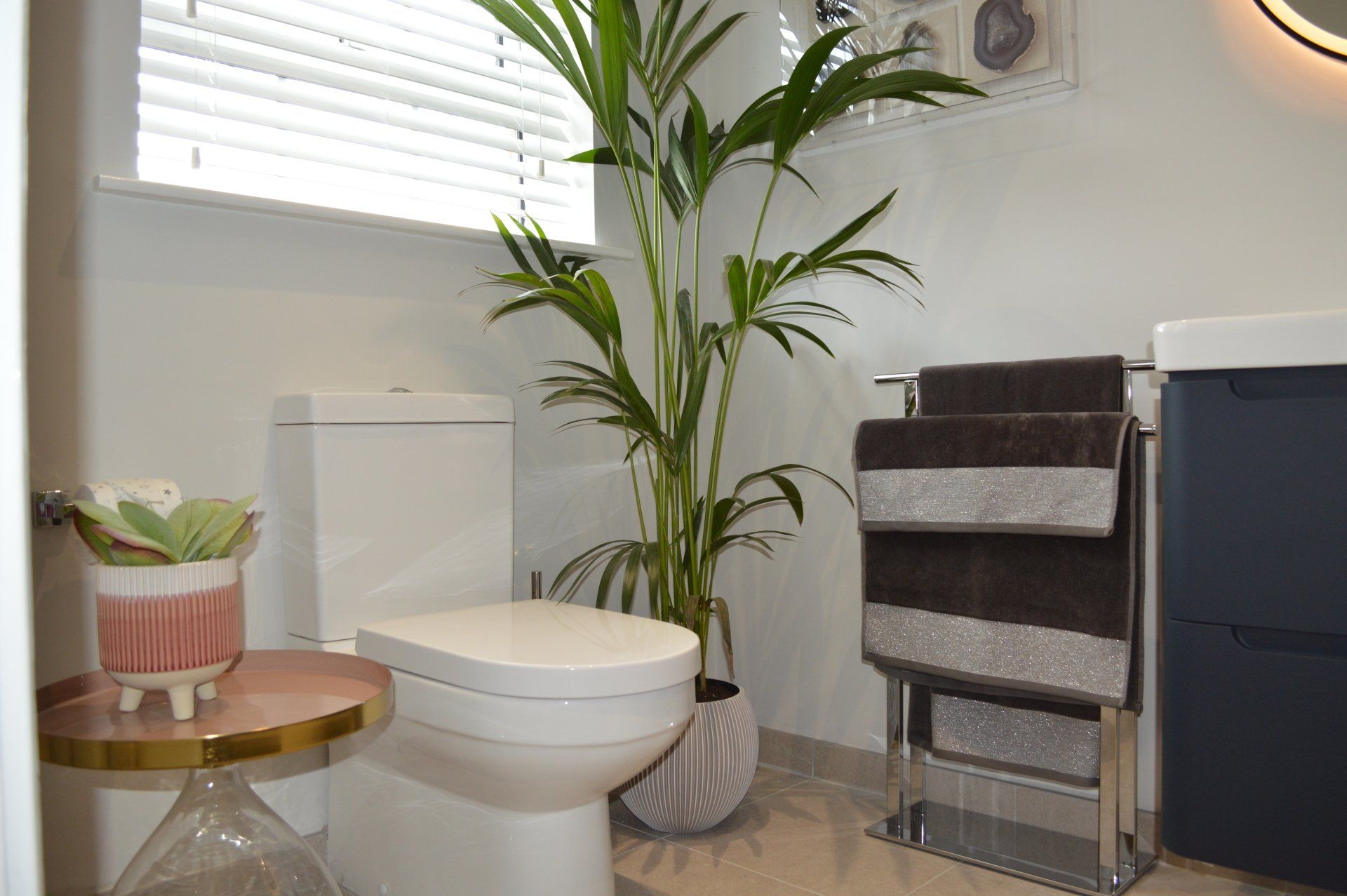 A bathroom with a toilet , sink , and plant.