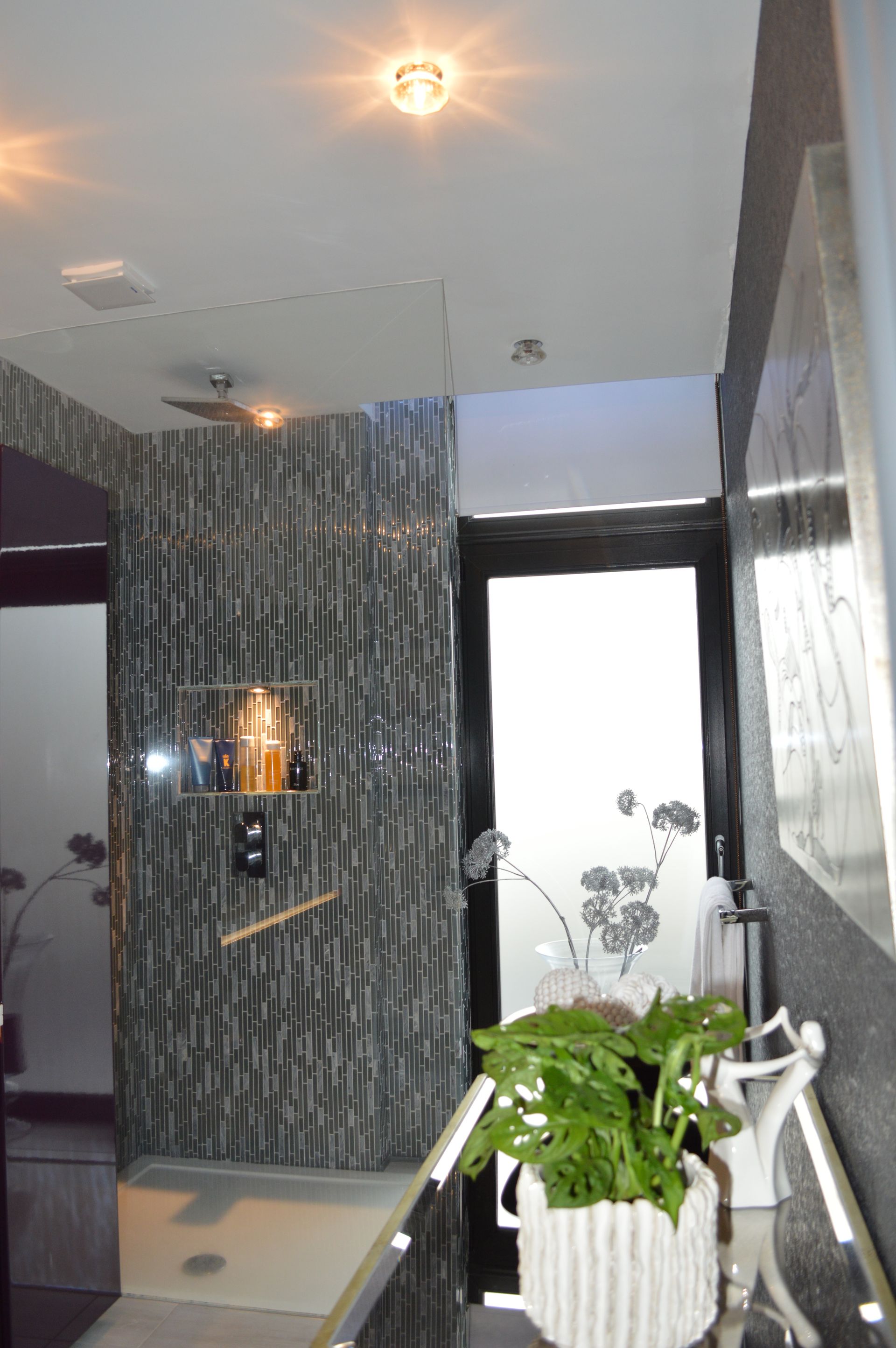 A bathroom with a walk in shower and a potted plant