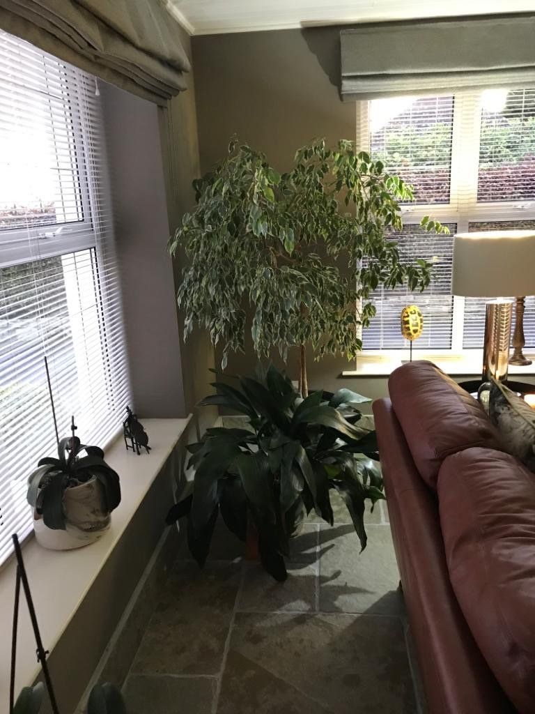 A living room with a red couch and a window with blinds.