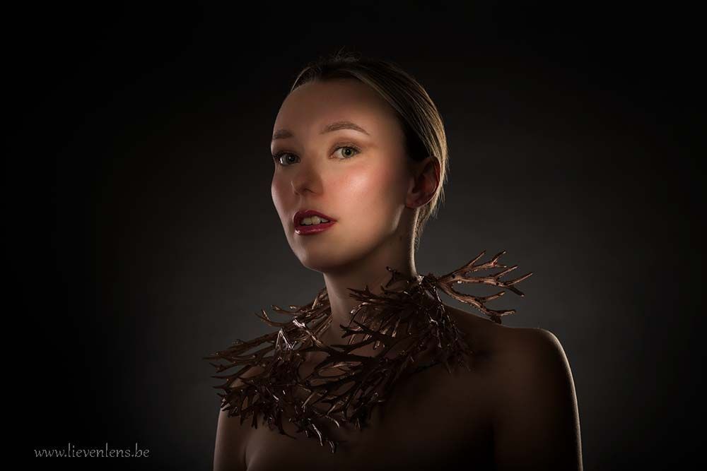 Creatief voorbeeld studio portret lieven lens