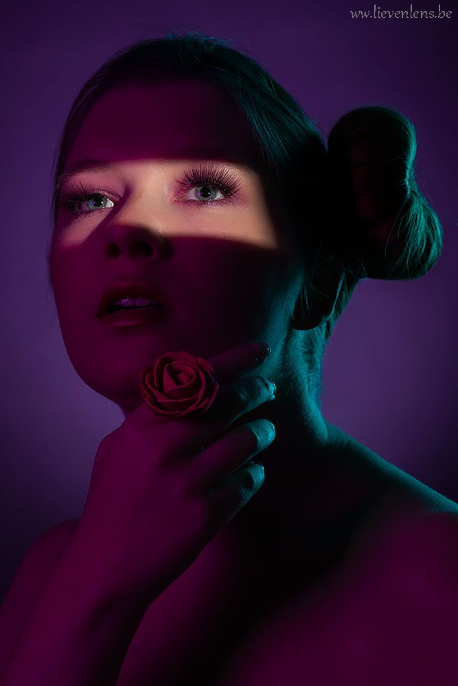 Optical snoot model studio