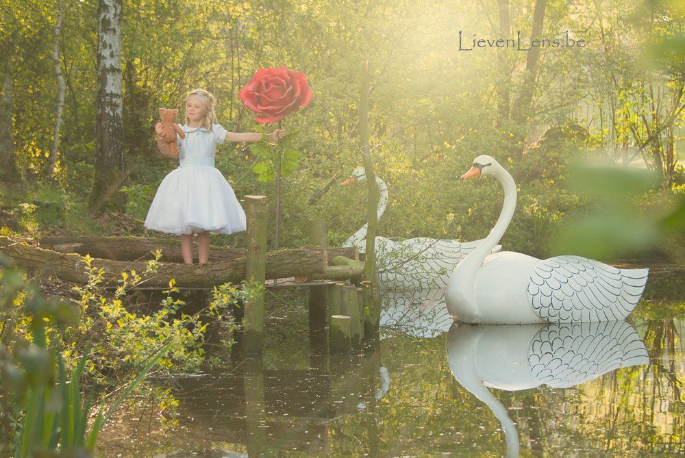 Originele communie voorbeeld foto