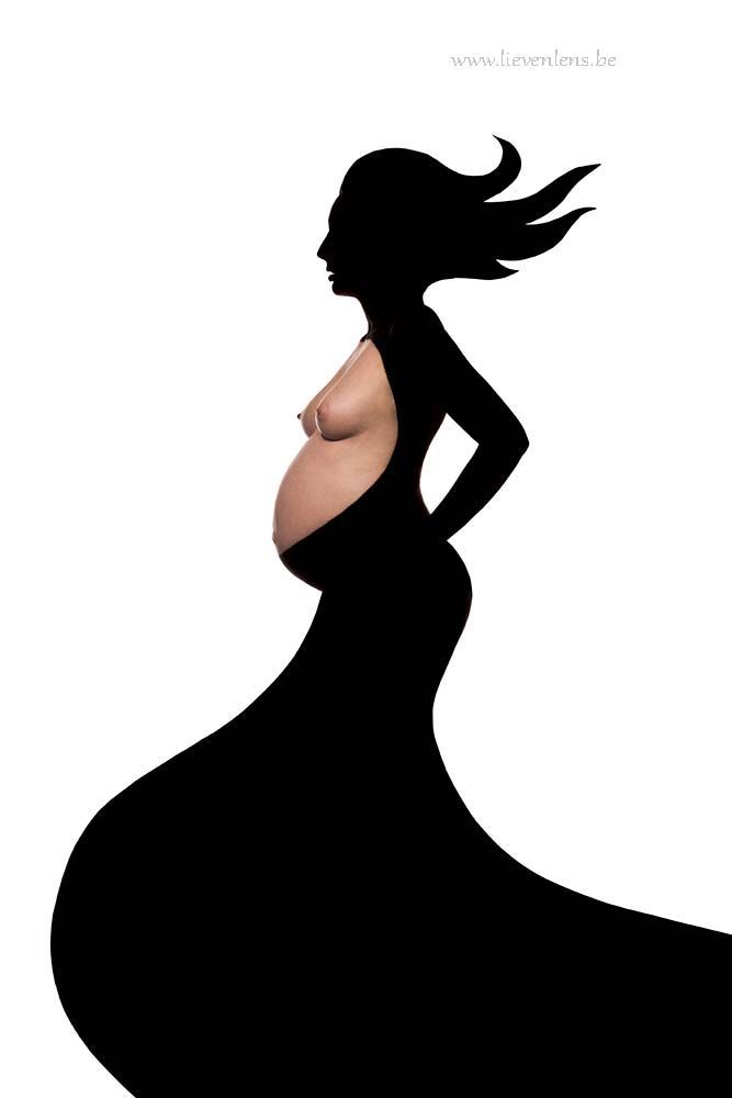 fine art in de studio 