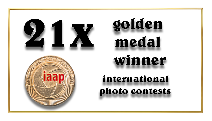 Award en golden medal winner