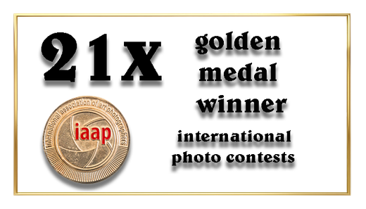 Award en golden medal winner