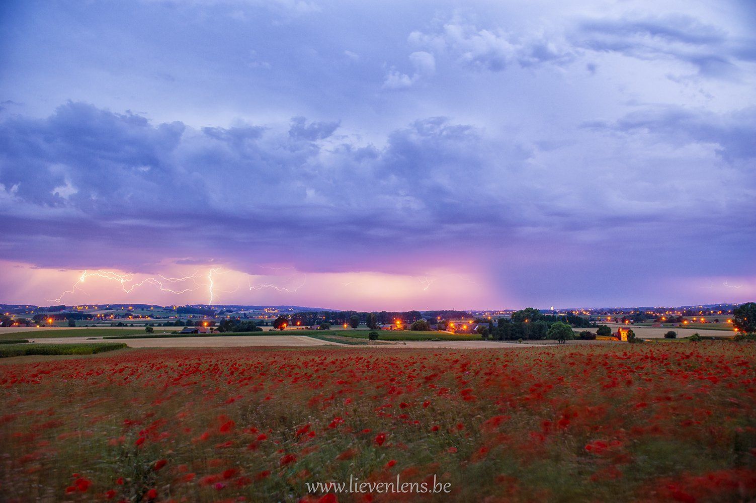 klaproosveld met bliksem in de vlaamse ardennen