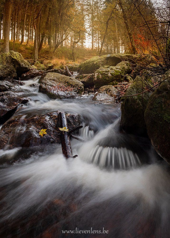 la hoegne in de ardennen