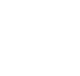 Univeristy Health logo in white