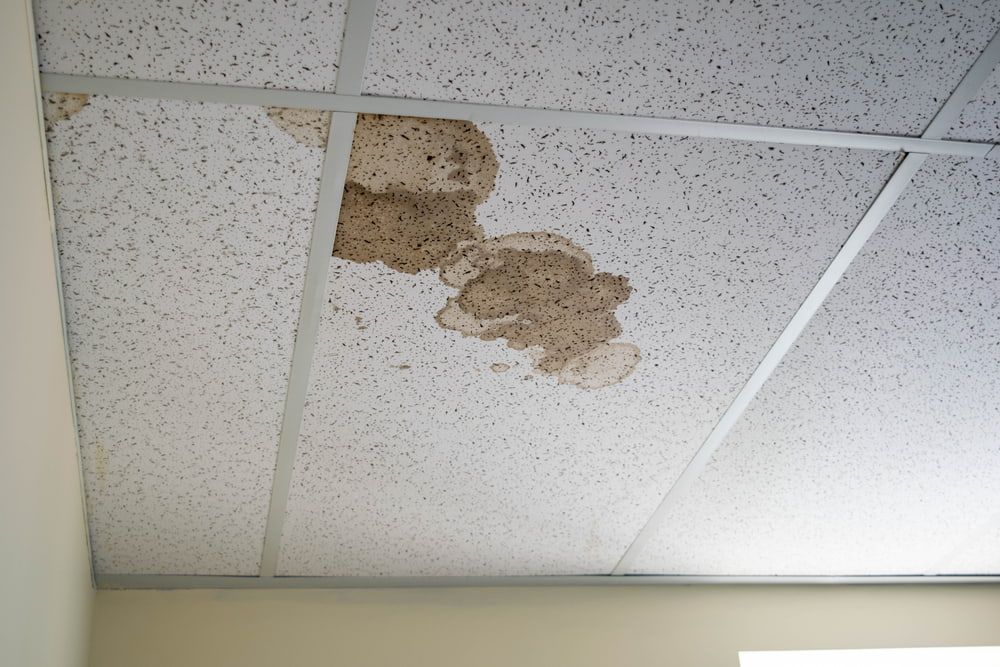 Water Damage Staining Several White Drop Ceiling Tiles — Leak & Co in Palmerston, NT
