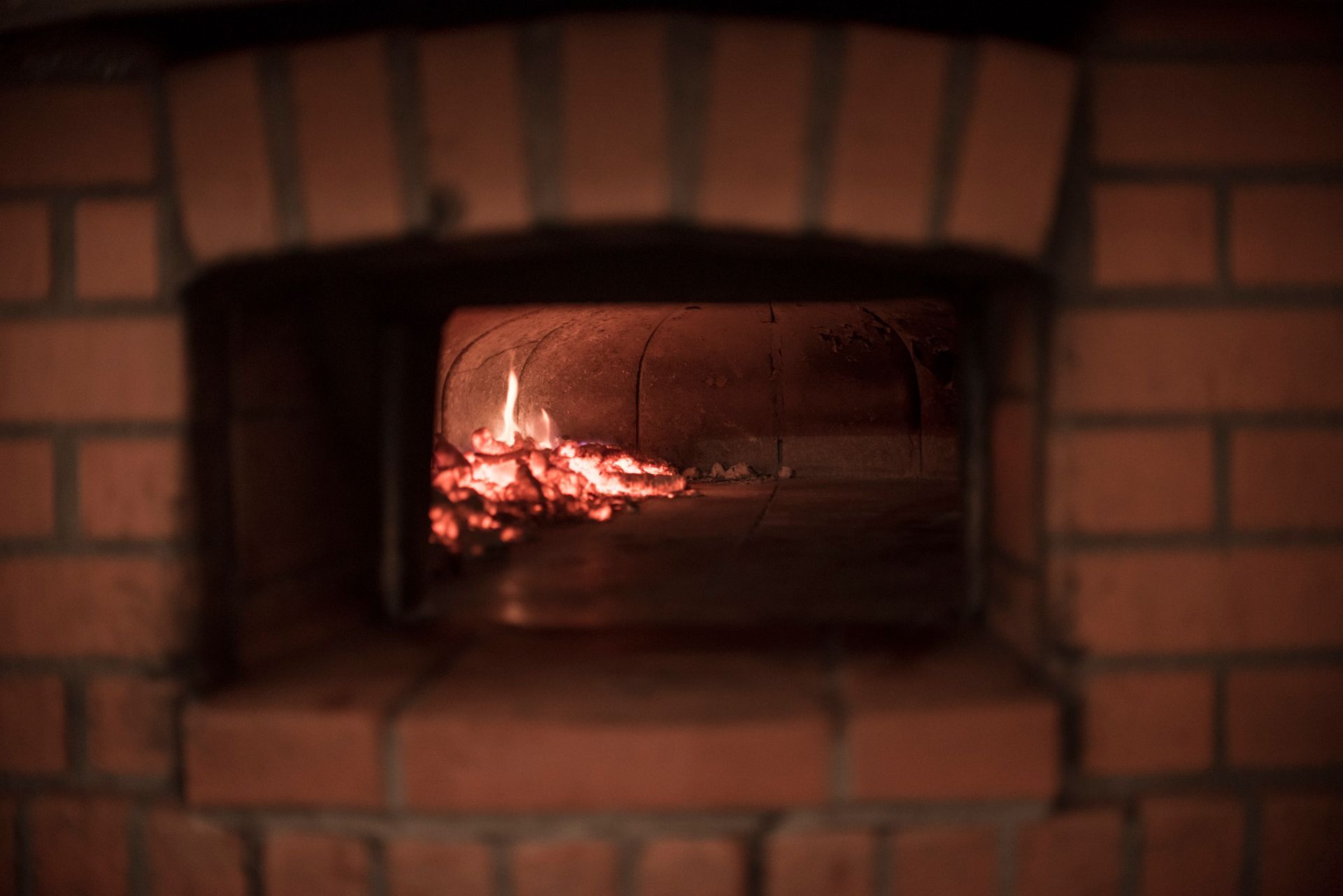 Wood-fired oven