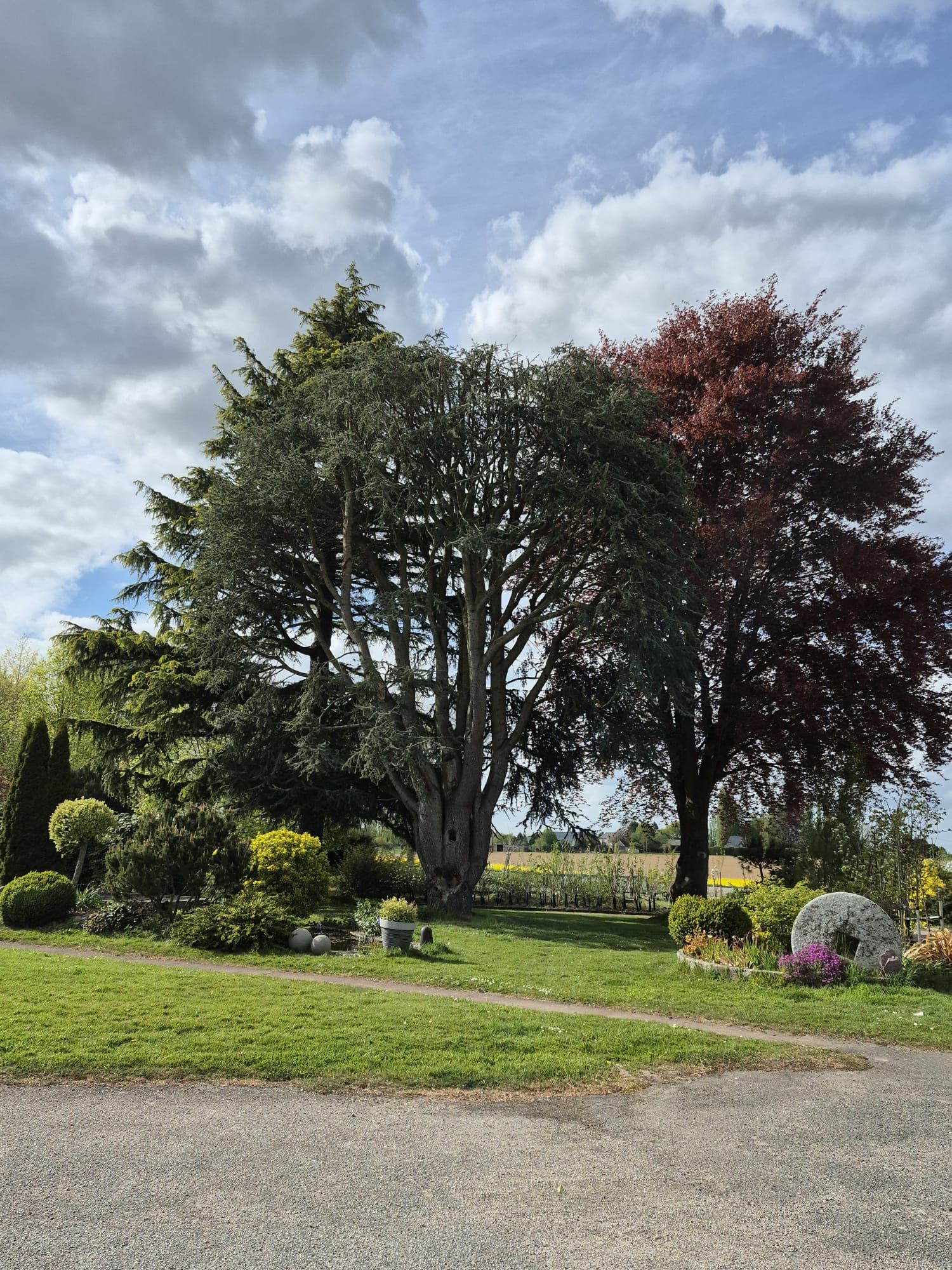 Jardin paysager avec de grands arbres, des arbustes et un ciel nuageux au bord d'un chemin de gravier