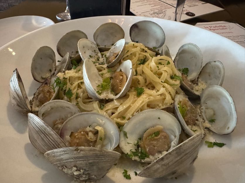 Plate of clam pasta in white wine sauce, topped with open clams and parsley
