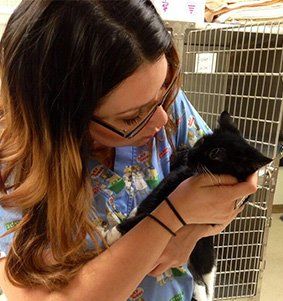 United States — Sylvan Corners Pet Hospital Veterinarian Holding A Cat in Citrus Heights, CA