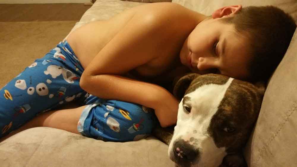 Pet Check Up — Dog With His Owner in Citrus Heights, CA Pet Check Up — Dog With His Owner in Citrus Heights, CA