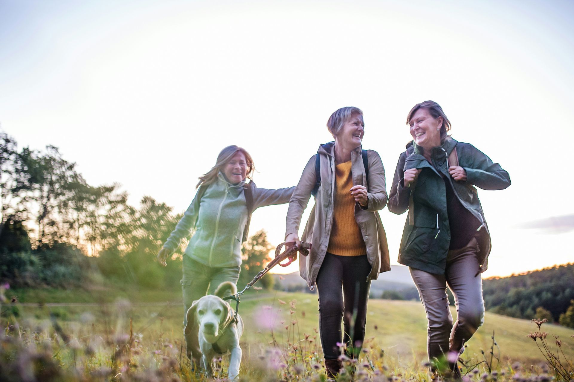 Three women are walking a dog in a field.