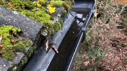 gutter cleaning