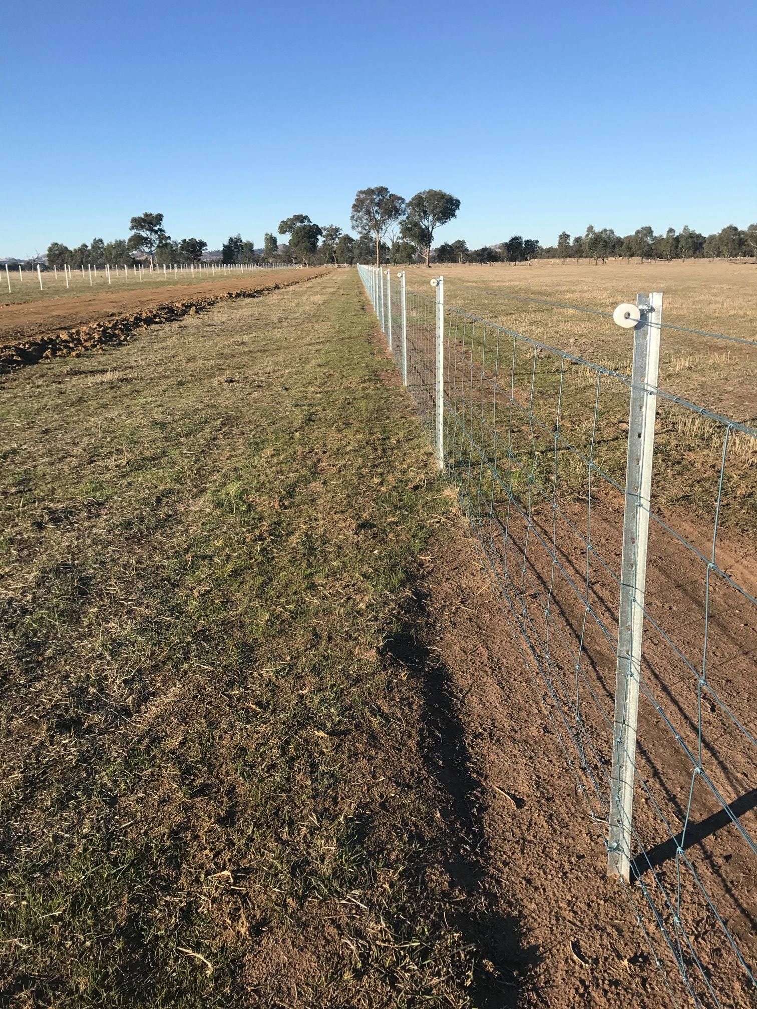 A wooden fence surrounds a dry grassy field with trees in the background.