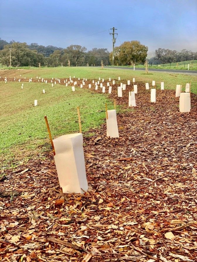 A cemetery with a lot of graves and a lot of leaves on the ground