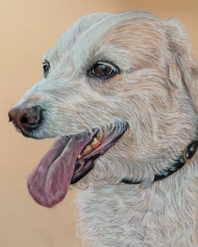 Pastel tekening van je huisdier 24x30cm