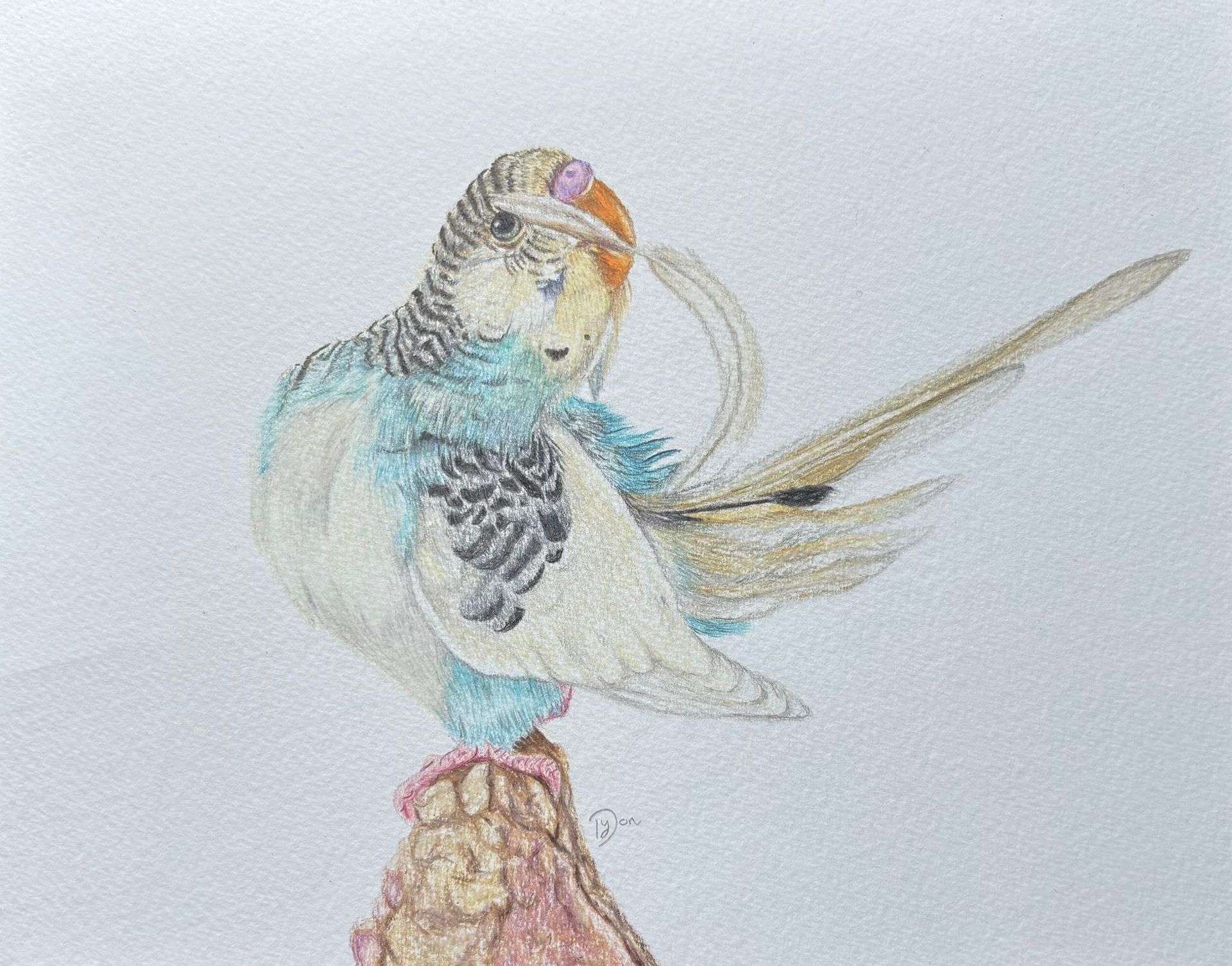 Op maat gemaakte kleurpotlood tekening