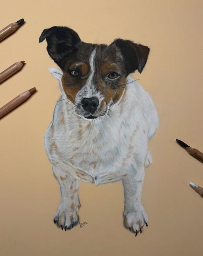 Pastel tekening van je huisdier 18x24cm