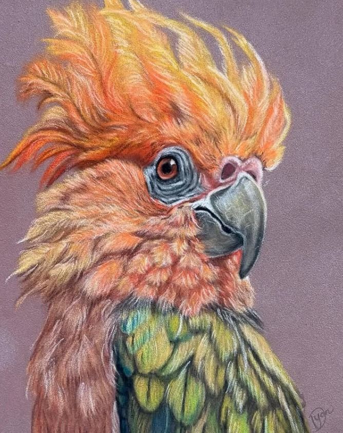 Pastel tekening van je huisdier 30x40cm