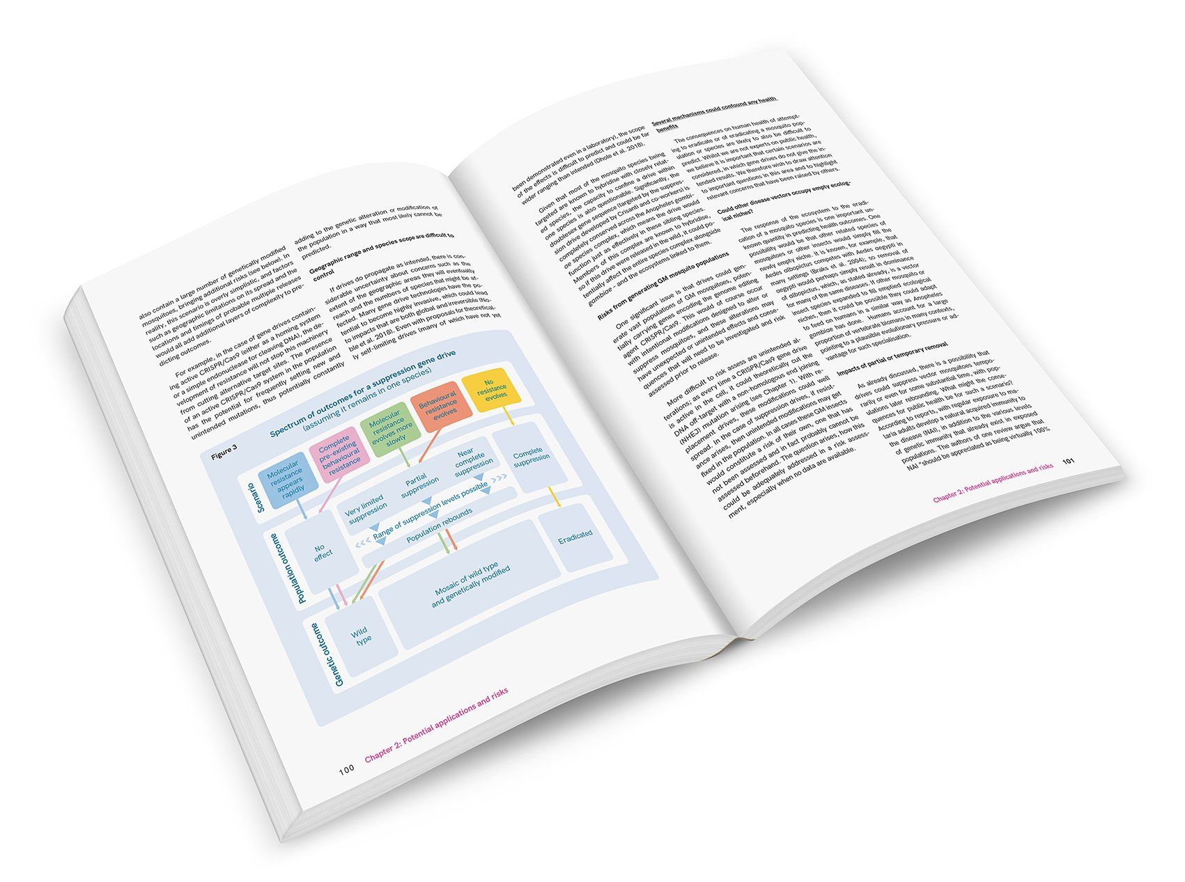 Wissenschaftliche Broschüre innen 2