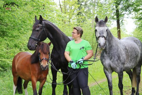 Pferde und Reiterin