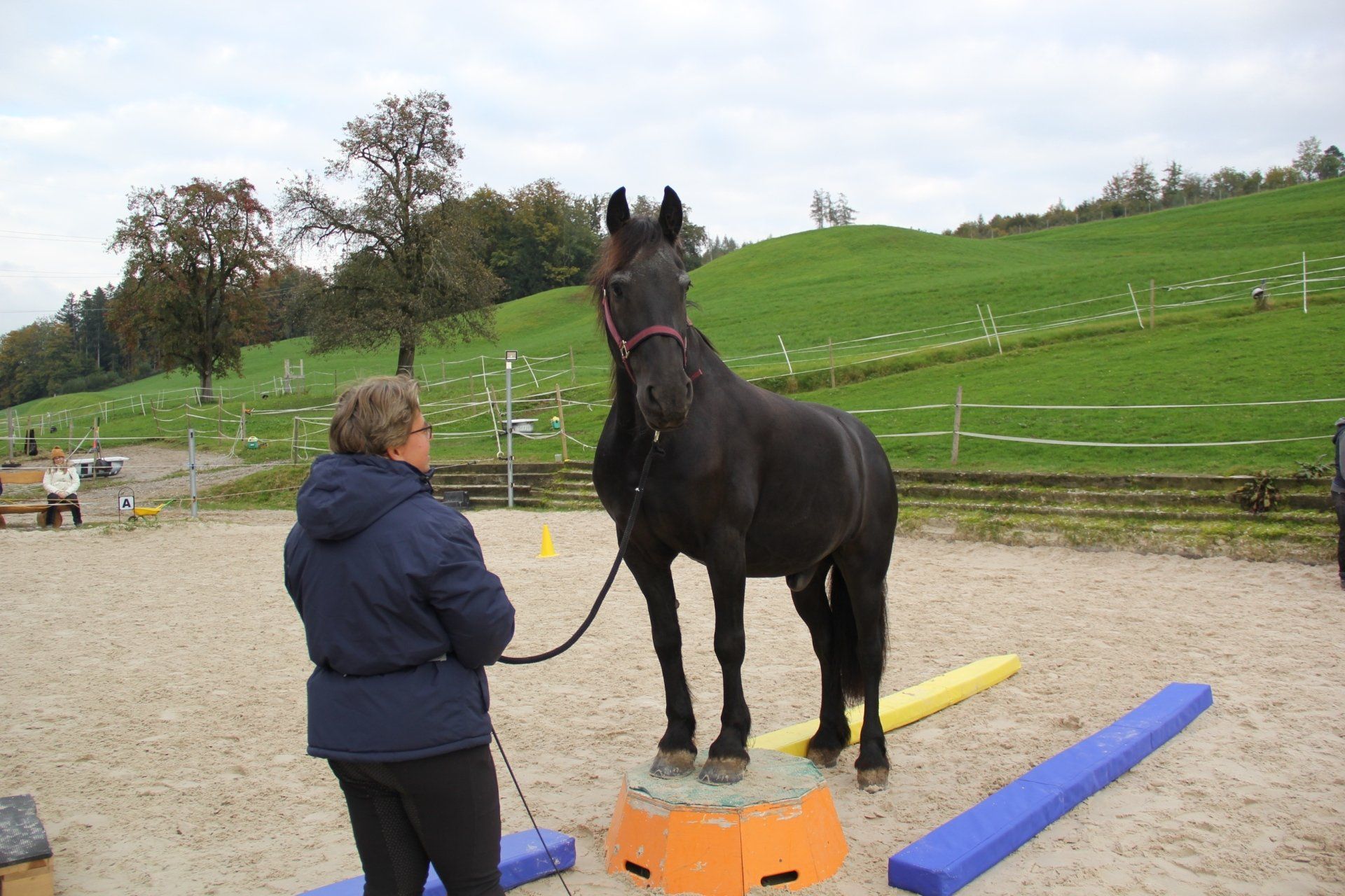 Führen an der Leine