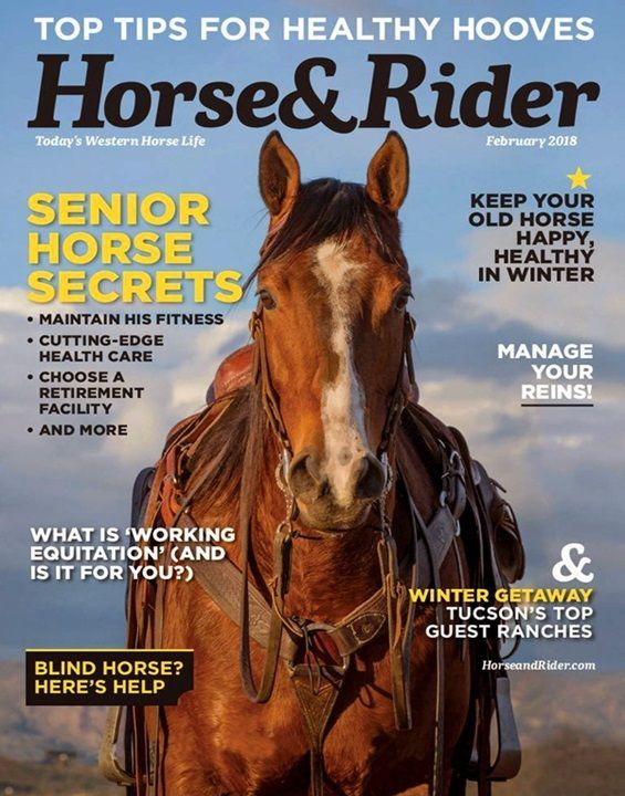 A horse on the cover of a horse & rider magazine