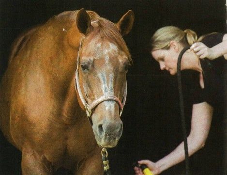 A woman is standing next to a brown horse