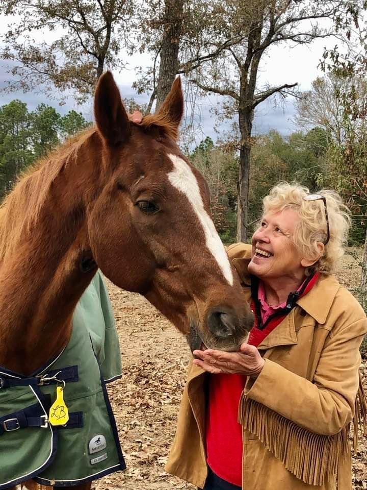 A woman is petting a brown horse in a field.