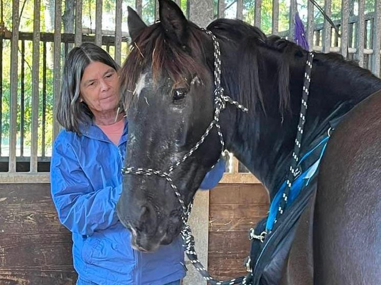 A woman in a blue jacket is standing next to a black horse.