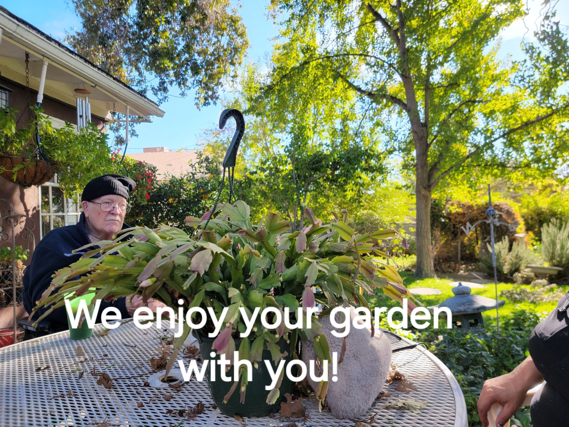 A man is sitting at a table with a potted plant.