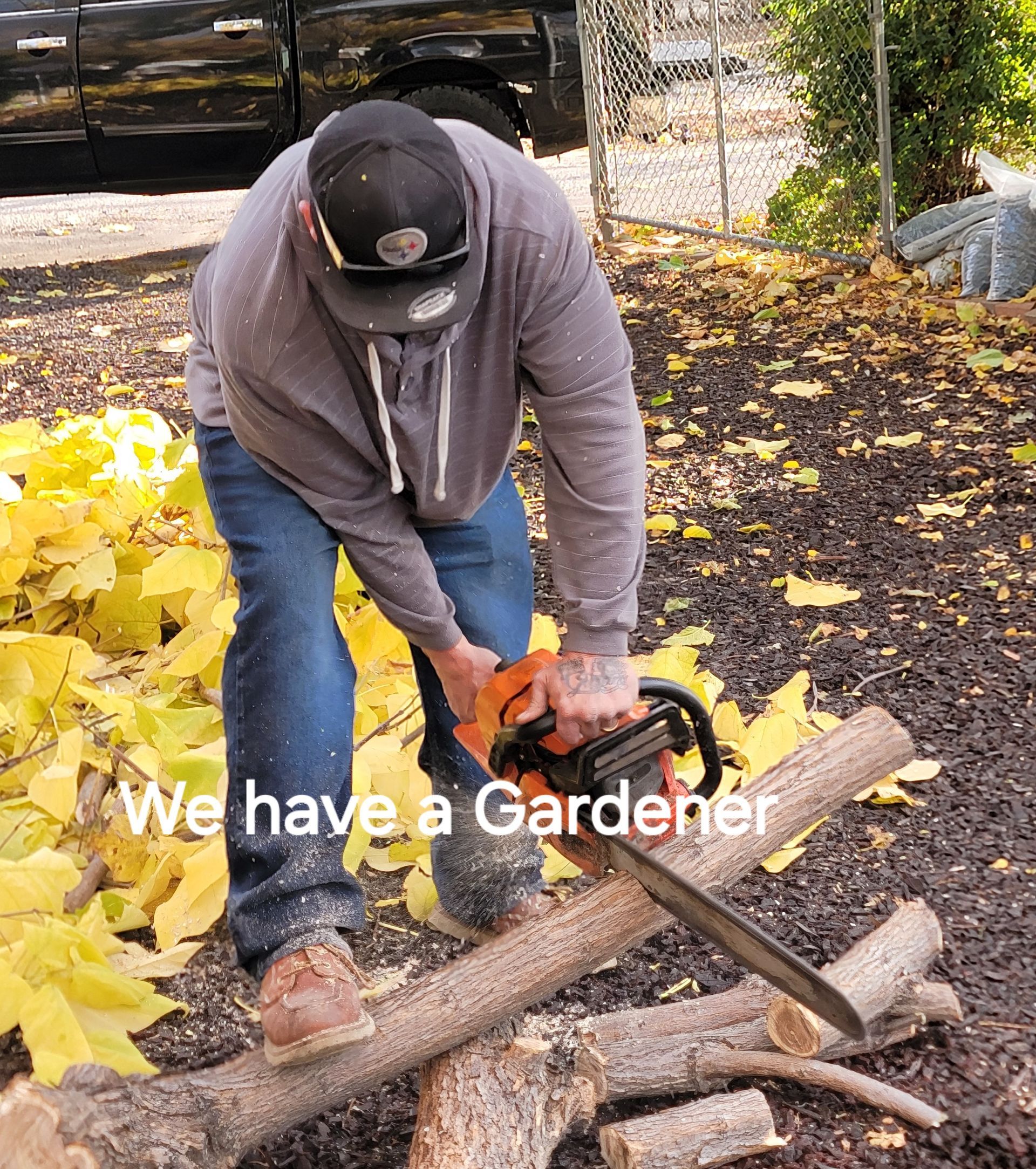 A man is using a chainsaw to cut logs in a garden.