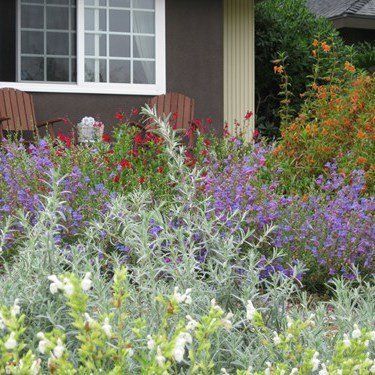 landscaping design using native missouri plants in St Charles MO