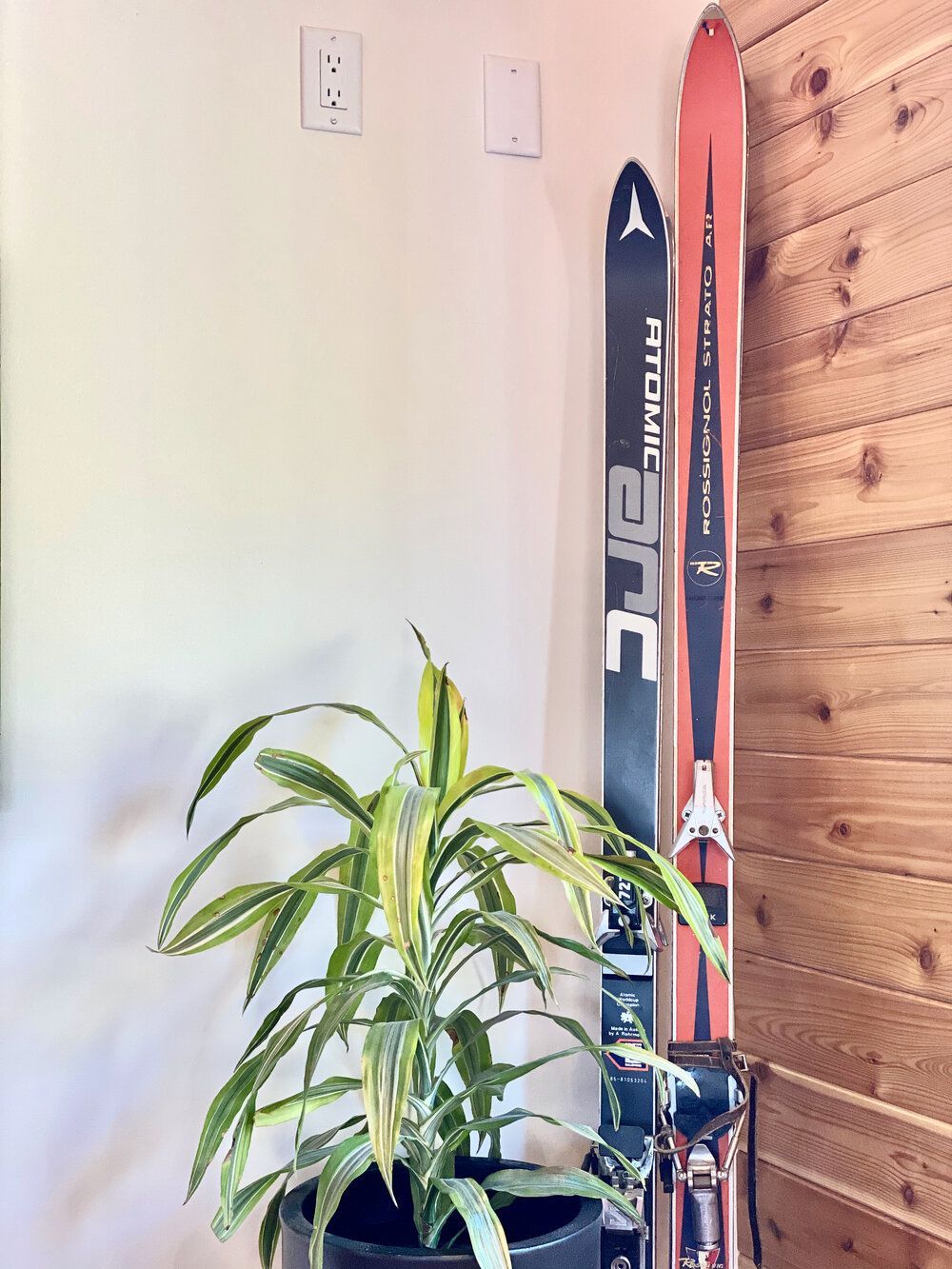 A pair of skis leaning on a wall next to a potted plant.