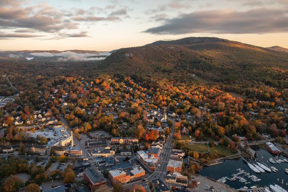 Aerial View of A Town Nestled in Autumn-Colored Trees — Premier Pest Control Wollongong In Camden, NSW