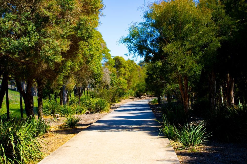 Pathway Through a Park, Lined With Trees and Greenery Under a Blue Sky — Premier Pest Control Wollongong In Blacktown, NSW