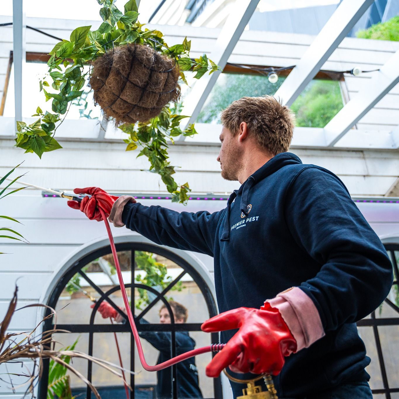Man Spraying Plants With a Hose Inside a Greenhouse — Premier Pest Control Wollongong In Blacktown, NSW