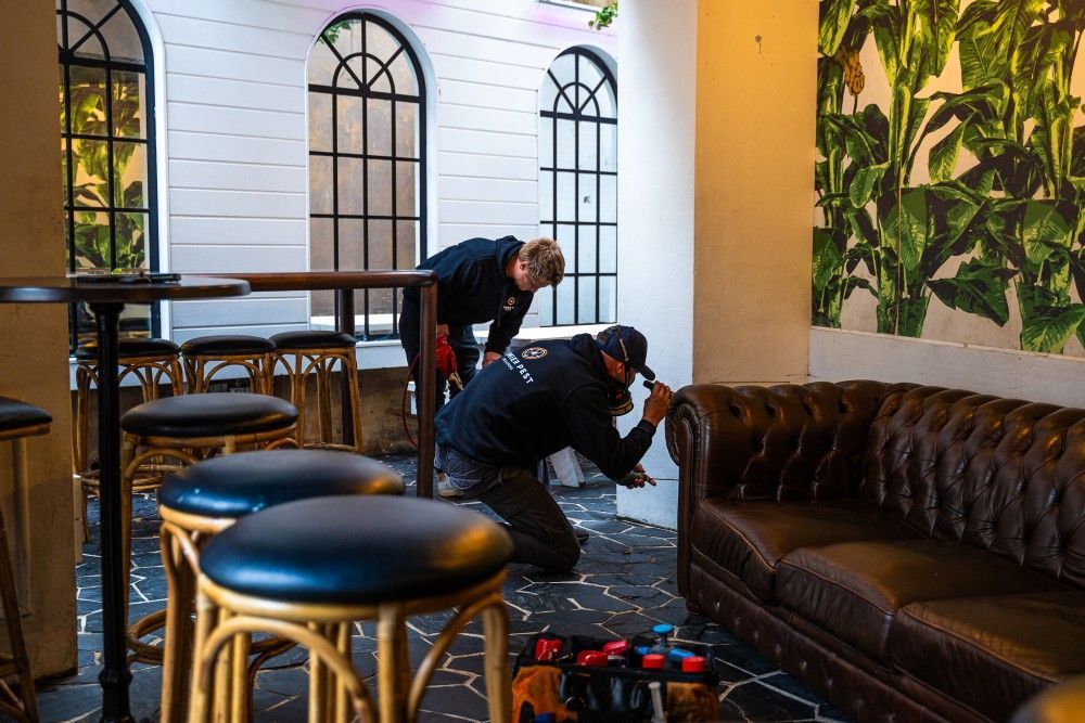 Two Men Are Working On A Couch In A Living Room — Premier Pest Control Wollongong In Wollongong, NSW